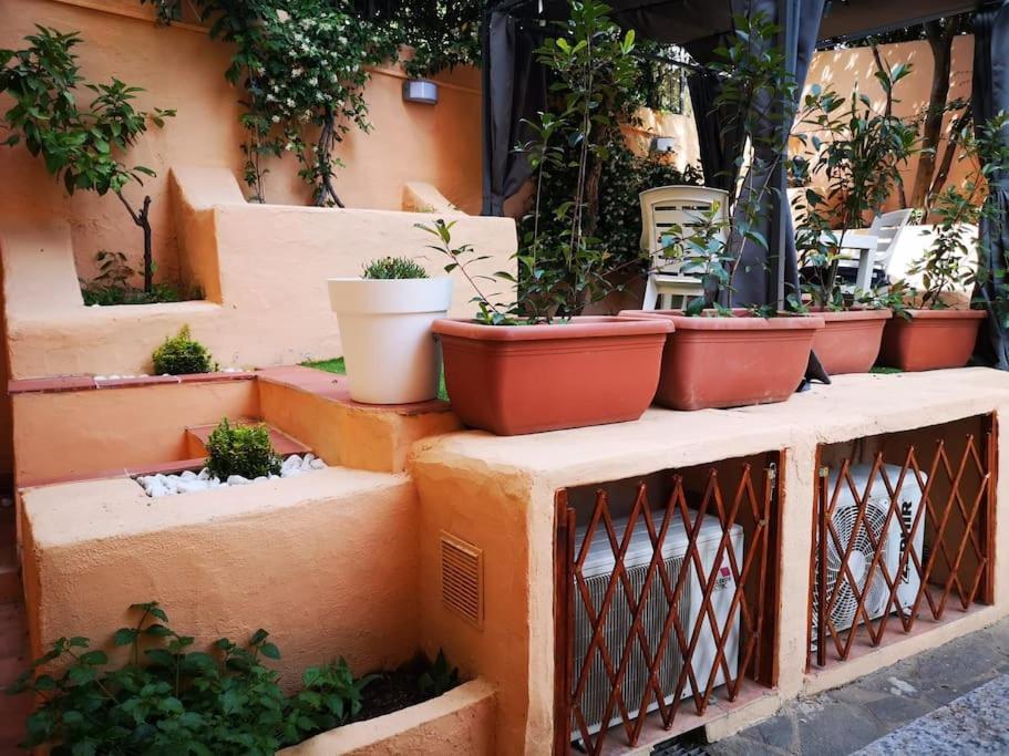 Monolocale A Due Passi Dal Mare Διαμέρισμα Όλμπια Εξωτερικό φωτογραφία