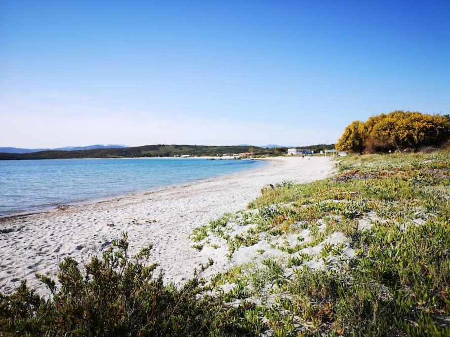 Monolocale A Due Passi Dal Mare Διαμέρισμα Όλμπια Εξωτερικό φωτογραφία