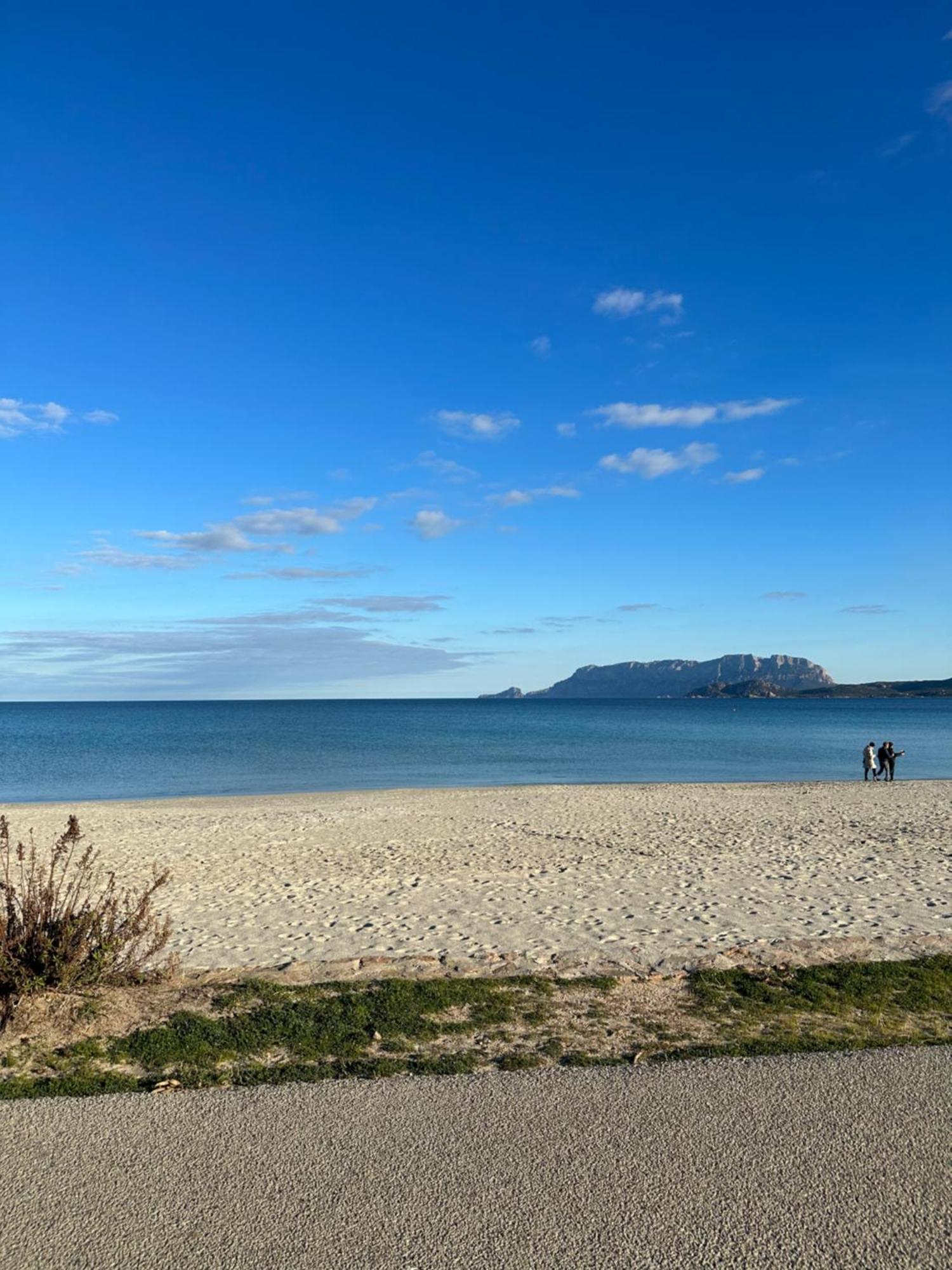 Monolocale A Due Passi Dal Mare Διαμέρισμα Όλμπια Εξωτερικό φωτογραφία